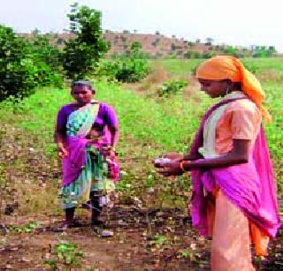 In Akola, 25 thousand farmers are deprived | अकोल्यात २५ हजार शेतकरी वंचित