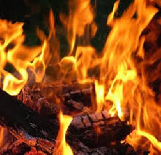 Believer gave a leopard body! | पतीच्या चितेवर दिला जीव !