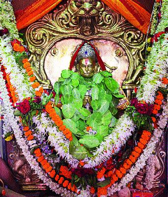 Hanuman Janmotsava celebrated with great enthusiasm | हनुमान जन्मोत्सव मोठ्या उत्साहात साजरा