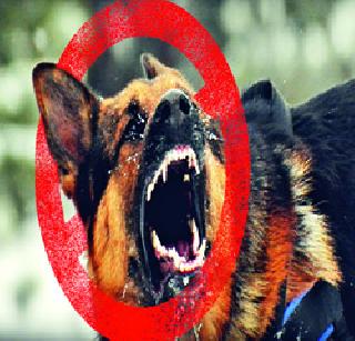 Will Modi know that the 'mind' thing about the people? | मोदी जाणतील का जनतेची ही ‘मन की’ बात?