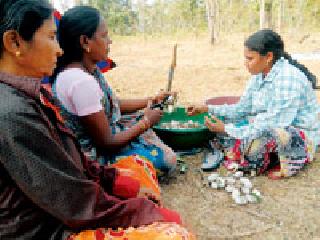 Women's admission in Cosa Productions | कोसा निर्मितीत महिलांचा प्रवेश