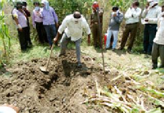 Farmer Satpute police custody | शेतकरी सातपुतेला पोलीस कोठडी