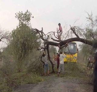 Hailstorms with sudden rain | अवकाळी पावसासह गारपिटीचा तडाखा Hailstorms with sudden rain | अवकाळी पावसासह गारपिटीचा तडाखा