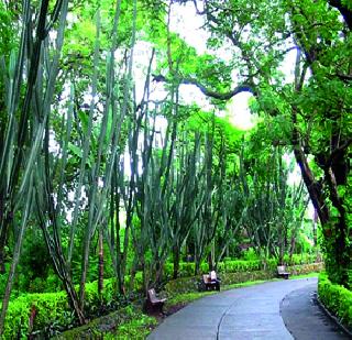 Scenic Aare Colony's 'Garbage' | निसर्गरम्य आरे कॉलनीचा ‘कचरा’ Scenic Aare Colony's 'Garbage' | निसर्गरम्य आरे कॉलनीचा ‘कचरा’