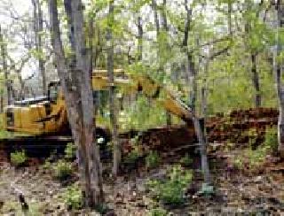 Demarcation of forest ... | जंगलाचे सीमांकन...