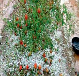 Hit the hitch | गारांचा मारा सुरूच Hit the hitch | गारांचा मारा सुरूच