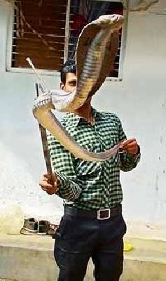 Inspection: | तपासणी : Inspection: | तपासणी :