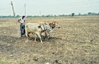 Summer velocity: | उन्हाळवाहीला आला वेग :