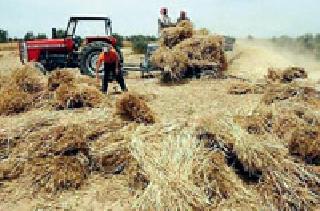 Sausage of soyabean seeds in Kharif season | खरीप हंगामात सोयाबीन बियाण्यांच्या तुटवड्याचे सावट Sausage of soyabean seeds in Kharif season | खरीप हंगामात सोयाबीन बियाण्यांच्या तुटवड्याचे सावट