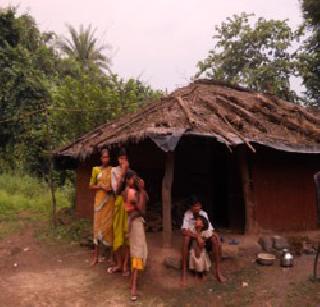 Tribal Farmers in crisis | आदिवासी शेतकरी संकटात Tribal Farmers in crisis | आदिवासी शेतकरी संकटात