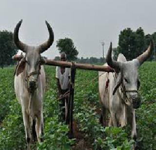 Industry will know why the victim sorrow? | उद्योगांना कळेल का बळीराजाचे दु:ख?