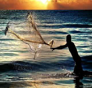 Infiltration of paramilitary fishermen | परप्रांतीय मच्छीमारांची घुसखोरी