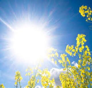 The scorching heat | उन्हाचा तडाखा कायम The scorching heat | उन्हाचा तडाखा कायम