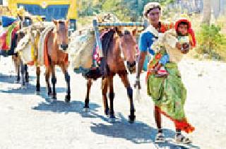 DahiDisha for the stomach ... | पोटासाठी दाहीदिशा... DahiDisha for the stomach ... | पोटासाठी दाहीदिशा...