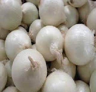 The white onions increased in the white market | वडखळ बाजारात सफेद कांद्याची आवक वाढली The white onions increased in the white market | वडखळ बाजारात सफेद कांद्याची आवक वाढली