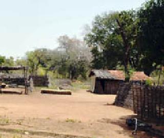 In the horizons of the village wildlife | गावकरी वन्यप्राण्यांच्या दहशतीत