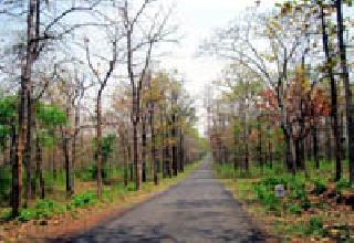 Deserted road | निर्मनुष्य रस्ता