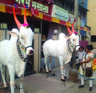 Marathomodaya Adarathitha love | मराठमोठ्या आदरातिथ्याची भुरळ