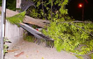 Summertime; Storm Shot | उन्हाचा चटका ; वादळाचा फटका