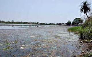 Vadali lake pavement ... | वडाळी तलावावर अवकळा...