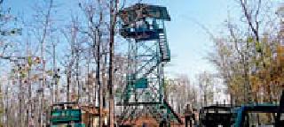 Announced to be number of wildlife in two days | दोन दिवसात वन्यप्राण्यांची संख्या होणार जाहीर