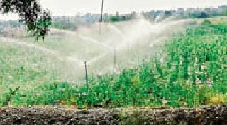 Summer ground water | उन्हाळी भुईमुगाला पाणी