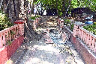 It's time to enter the park ... | उद्यानात प्रवेश करताच लागतो ठसका...