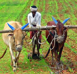 More than 90 thousand hectares of land for six thousand rich farmers | सहा हजार श्रीमंत शेतकऱ्यांकडे तब्बल ९० हजार हेक्टर जमीन More than 90 thousand hectares of land for six thousand rich farmers | सहा हजार श्रीमंत शेतकऱ्यांकडे तब्बल ९० हजार हेक्टर जमीन