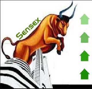 The bull's ass | अस्वलाच्या राज्यात बैलाने मारली मुसंडी The bull's ass | अस्वलाच्या राज्यात बैलाने मारली मुसंडी