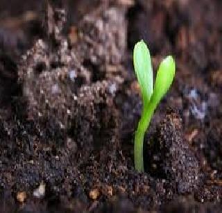 Multivollex stool-fertilizer farming | मल्टिप्लेक्समधील मल-मूत्राचे खत शेतीला Multivollex stool-fertilizer farming | मल्टिप्लेक्समधील मल-मूत्राचे खत शेतीला