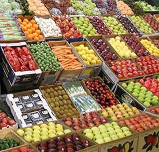 Focus on increasing the area of ​​horticulture in the state! | राज्यातील फळबागांचे क्षेत्र वाढविण्यावर भर!