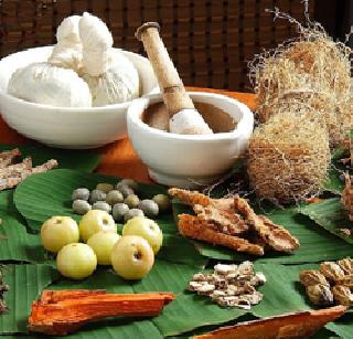 Ayurveda day after yoga | योगापाठोपाठ आता आयुर्वेद दिन