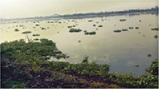 Vainganga: | दूषित झाली वैनगंगा: