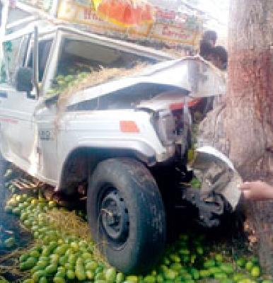 Two killed in Bolero tree collapse | बोलेरो झाडावर आदळून दोन ठार Two killed in Bolero tree collapse | बोलेरो झाडावर आदळून दोन ठार