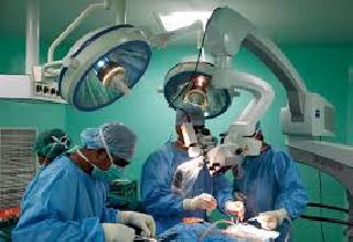 The need for 150 sketches per month in the Mumbai section | मुंबई विभागात दरमहा १५० त्वचांची गरज