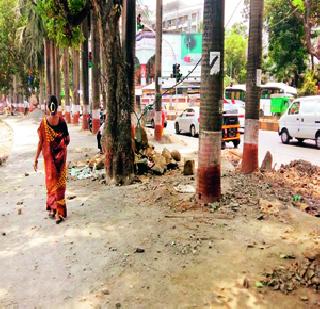 86 trees dead in Bandra! | वांद्रे येथील ८६ वृक्ष मृतावस्थेत!