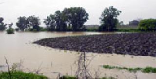 Show reasons for sixteen tehsildars | सोळाही तहसीलदारांना कारणे दाखवा