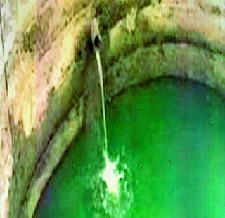 Farmer's Pandari | शेतकऱ्यांची पंढरी