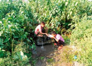 Anthology ... | तृष्णातृप्ती...