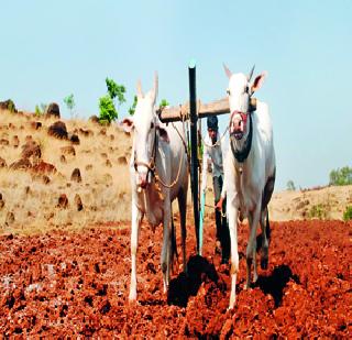 Farmers, Agriculture Department ready for Kharif | शेतकरी, कृषी विभाग खरिपासाठी सज्ज