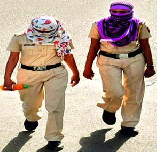 Vidarbha heat! | विदर्भ तापलेलाच!