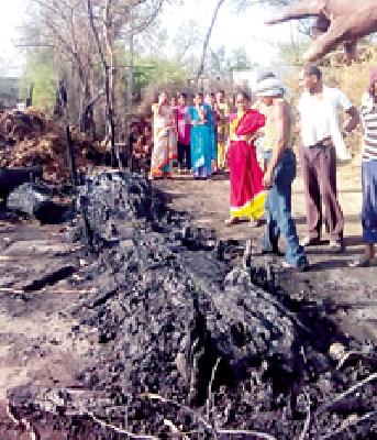10 burnt alive in fire | आगीत १० गोठे जळून खाक