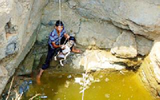 Life is alive ... | श्वानाला जीवदान... Life is alive ... | श्वानाला जीवदान...