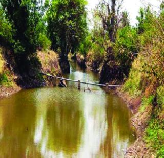 Deadwater Flooding! | मृत जलस्रोतांना नवसंजीवनी! Deadwater Flooding! | मृत जलस्रोतांना नवसंजीवनी!