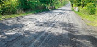 Armori-Desaiganj road in the ditch | खड्ड्यात आरमोरी-देसाईगंज मार्ग Armori-Desaiganj road in the ditch | खड्ड्यात आरमोरी-देसाईगंज मार्ग