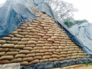 144 crores of rupees fall in the open | १४४ कोटींचे धान उघड्यावर पडून