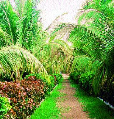 Another 74 gardens will be added | आणखी ७४ बगिच्यांची भर पडणार