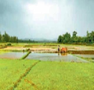 'Green India' lost to Fadnavis government | ‘ग्रीन इंडिया’ला फडणवीस सरकारचा खो