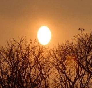 Seven victims of heat wave in Vidarbha, Marathwada | विदर्भ, मराठवाड्यात उष्माघाताचे सात बळी Seven victims of heat wave in Vidarbha, Marathwada | विदर्भ, मराठवाड्यात उष्माघाताचे सात बळी