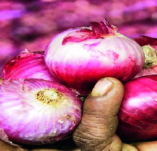Onion shriek | कांदा कडाडणार